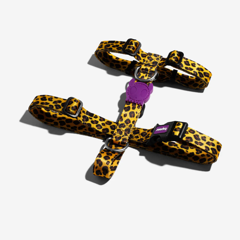 Honey Dog Harness