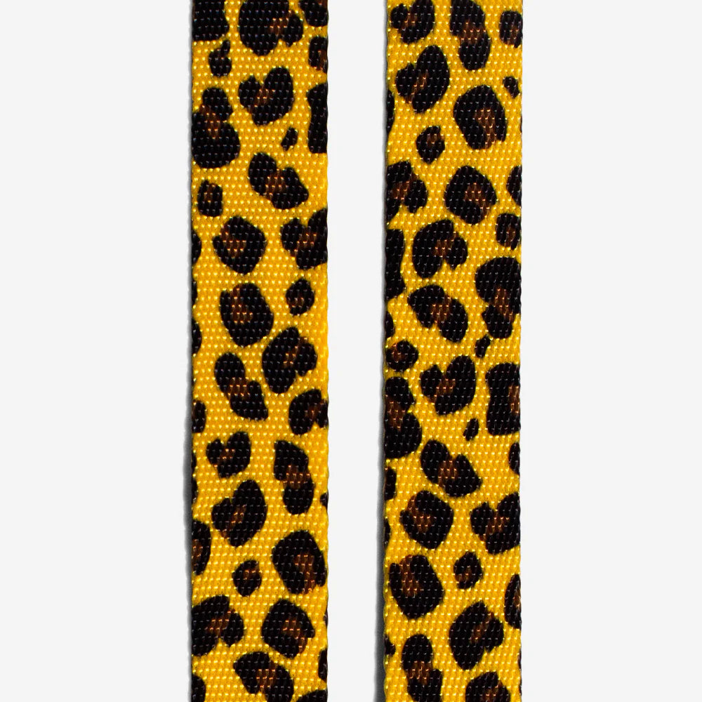 Honey Dog Harness