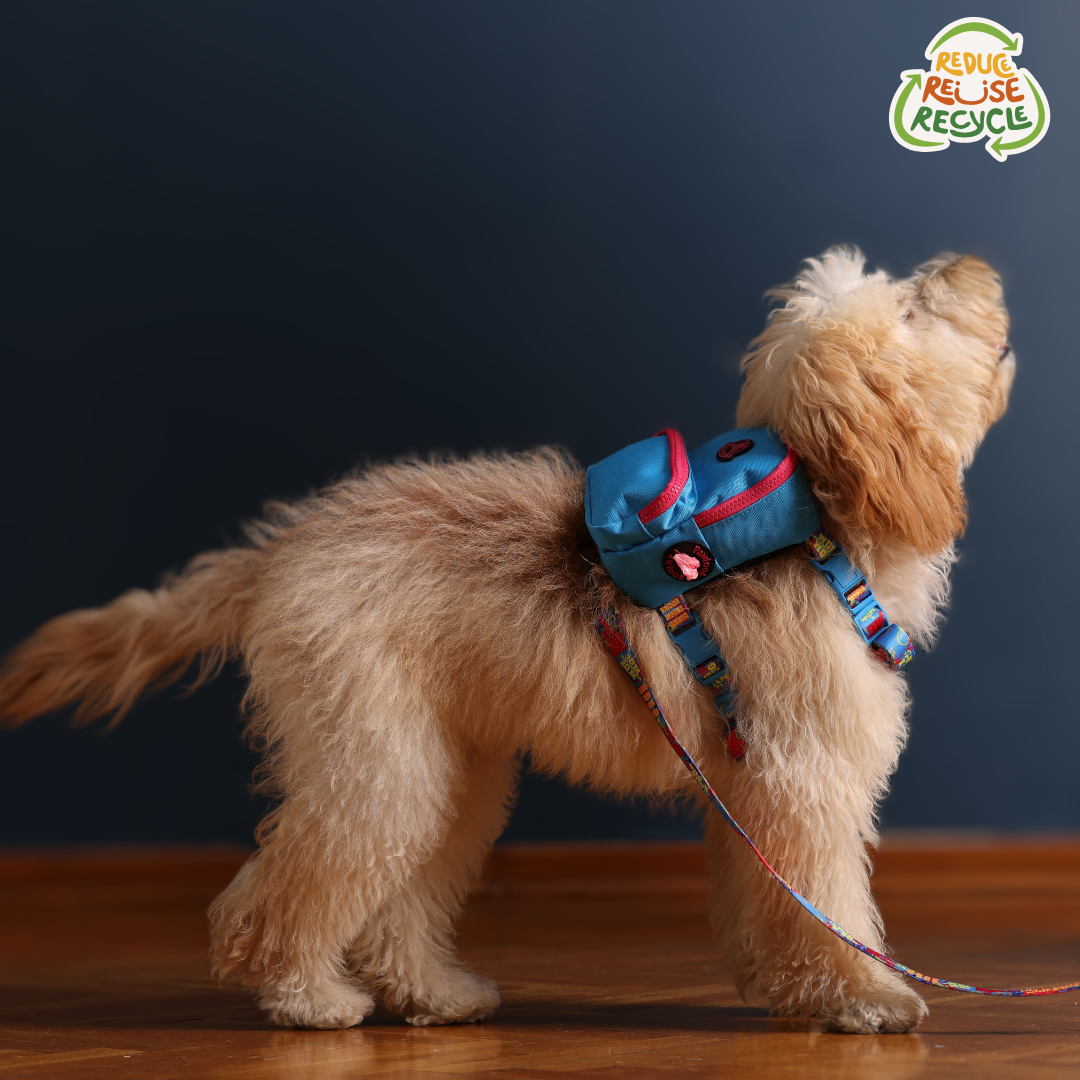 PAWLOOK BLUE DOG BAG LEASH SET