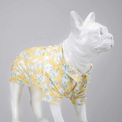SPRING DOG SHIRT