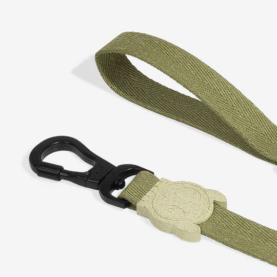Zee.Dog Moss Dog Walking Collar