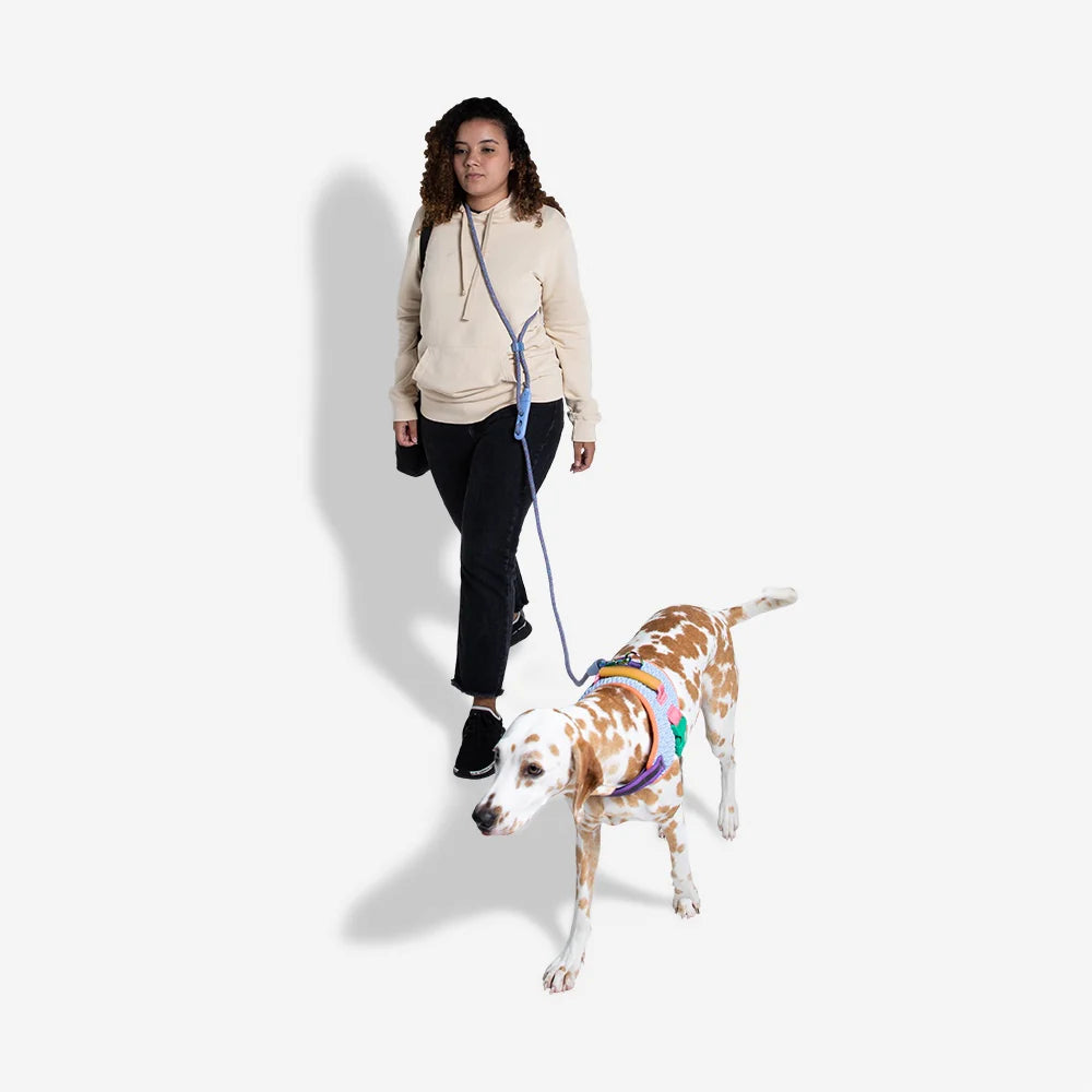 ZEE.DOG ANDROMEDA HANDSFREE ROPE DOG LEASH