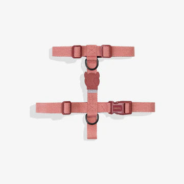Zee.Dog Canyon Dog Harness