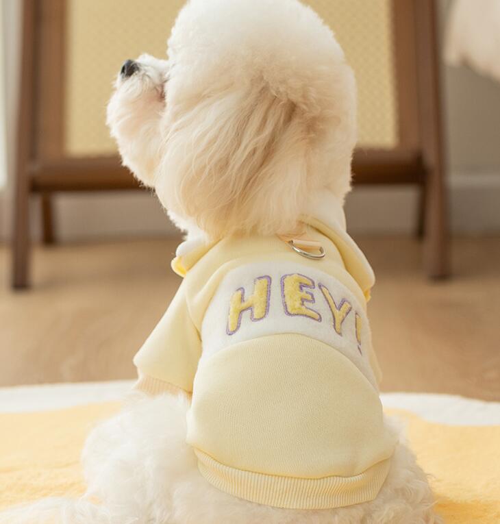 DolcePets / Hey Sweatshirt / Sarı