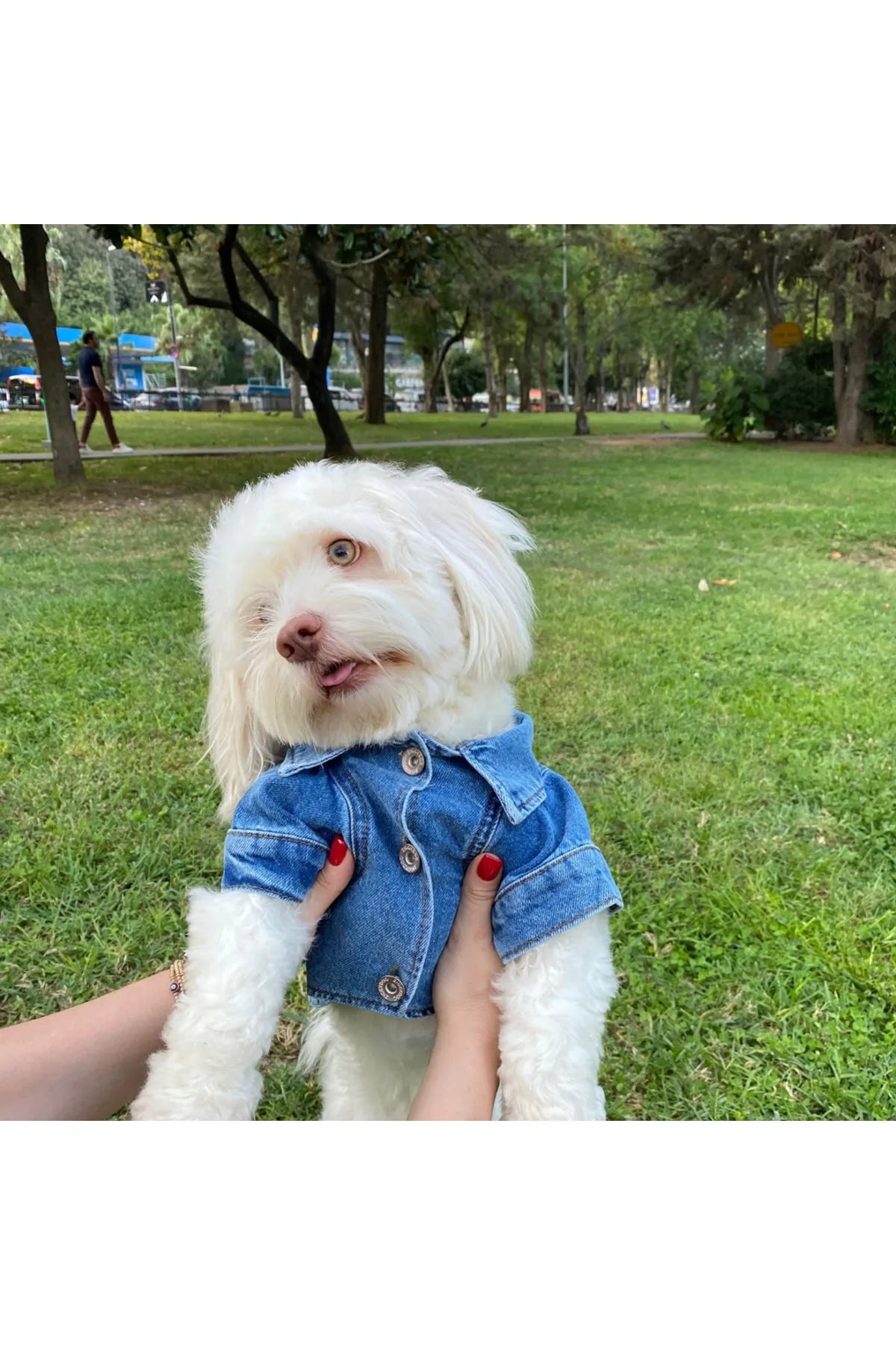 YIRTIKLI KÖPEK KOT CEKET