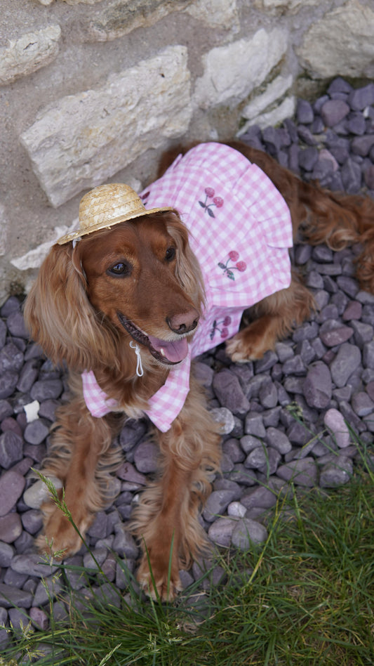 LOTE PEMBE CHERRY KÖPEK ELBİSE