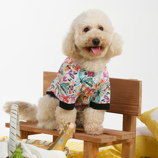 HOLLIE HAWAI KÖPEK BOMBER