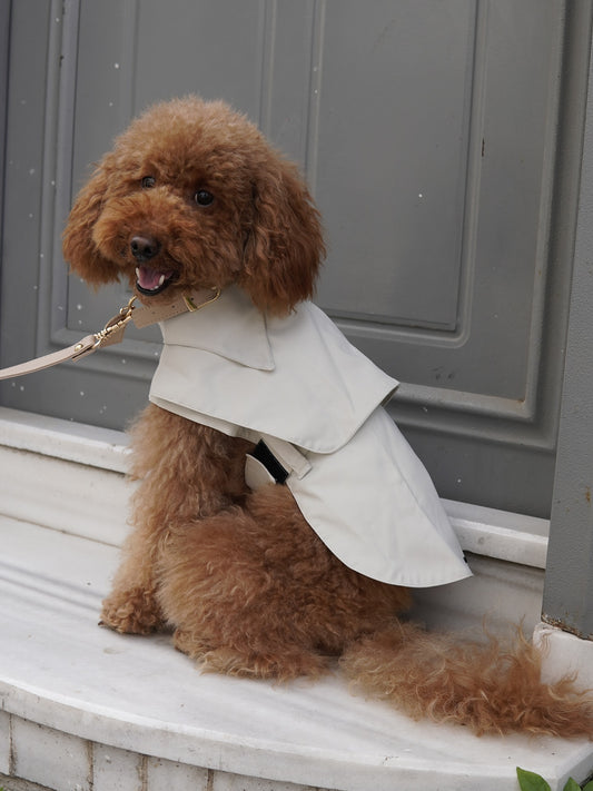 LOTE NİNO COAT KÖPEK YAĞMURLUK