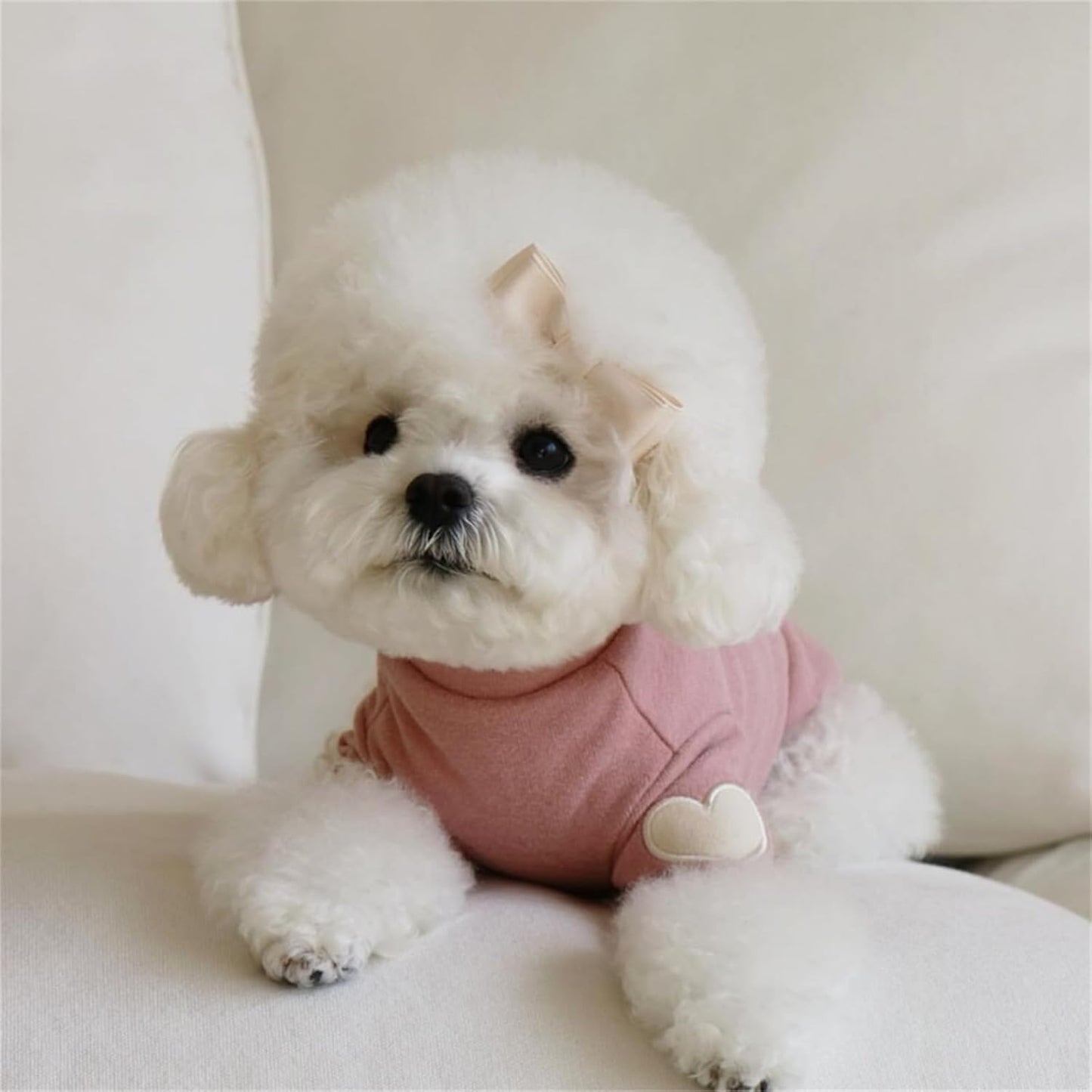 DolcePets Heart Sweater/Pink