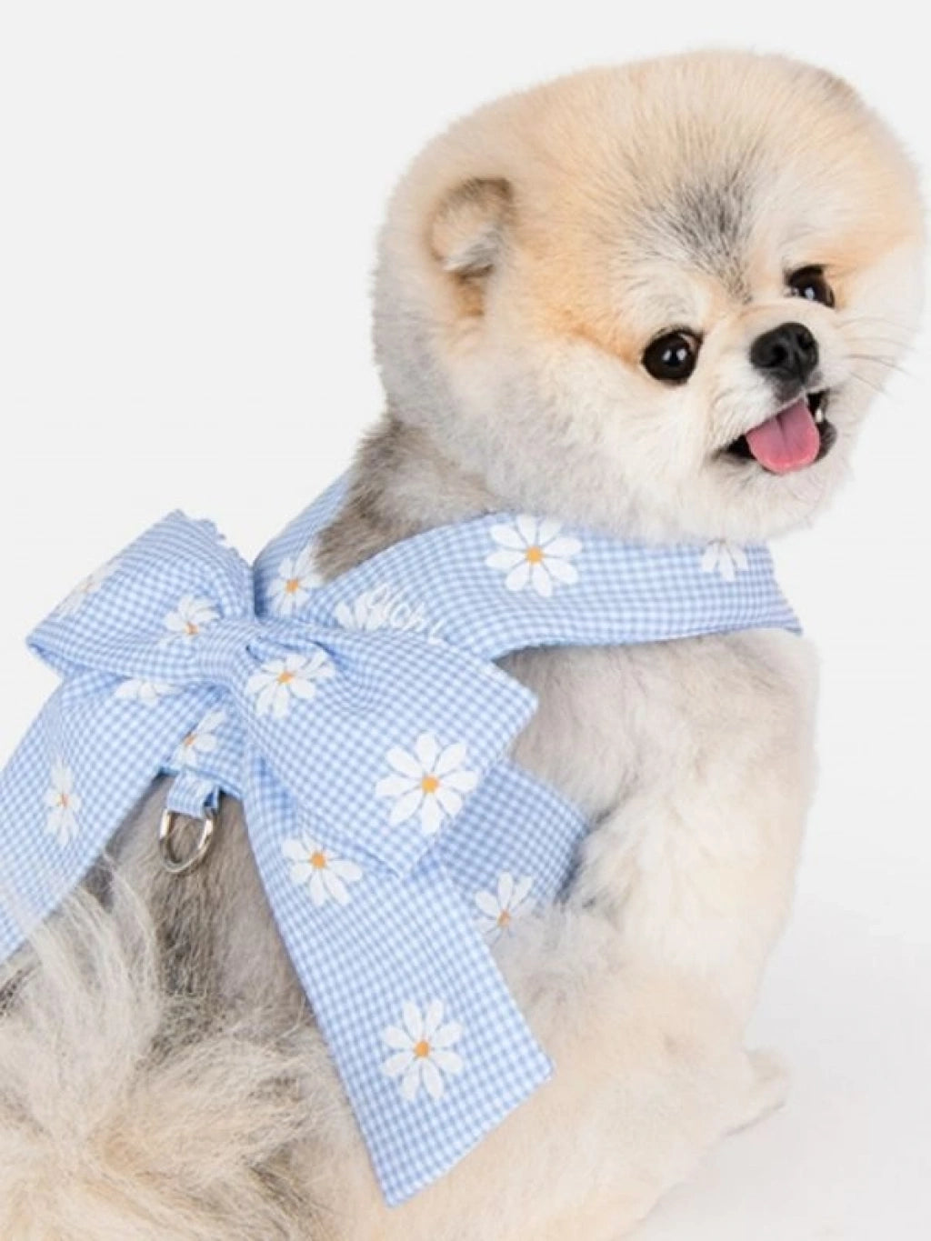 OLCHI CANDY RIBON KÖPEK GÖĞÜS TASMASI