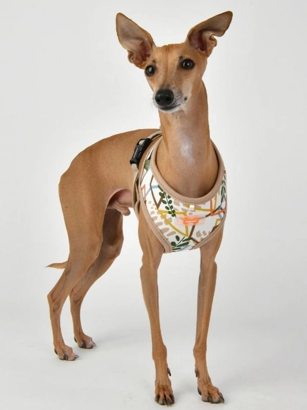 PUPPIA BOTANICAL HARNESS A KÖPEK GÖĞÜS TASMASI – BEJ