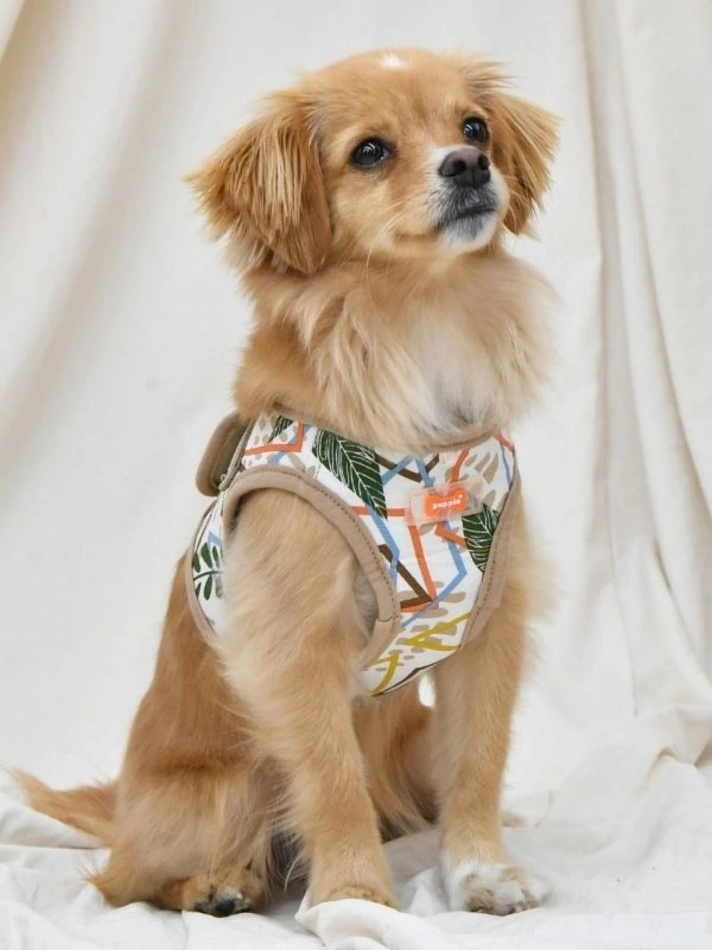 PUPPIA BOTANICAL HARNESS B KÖPEK GÖĞÜS TASMASI – BEIGE