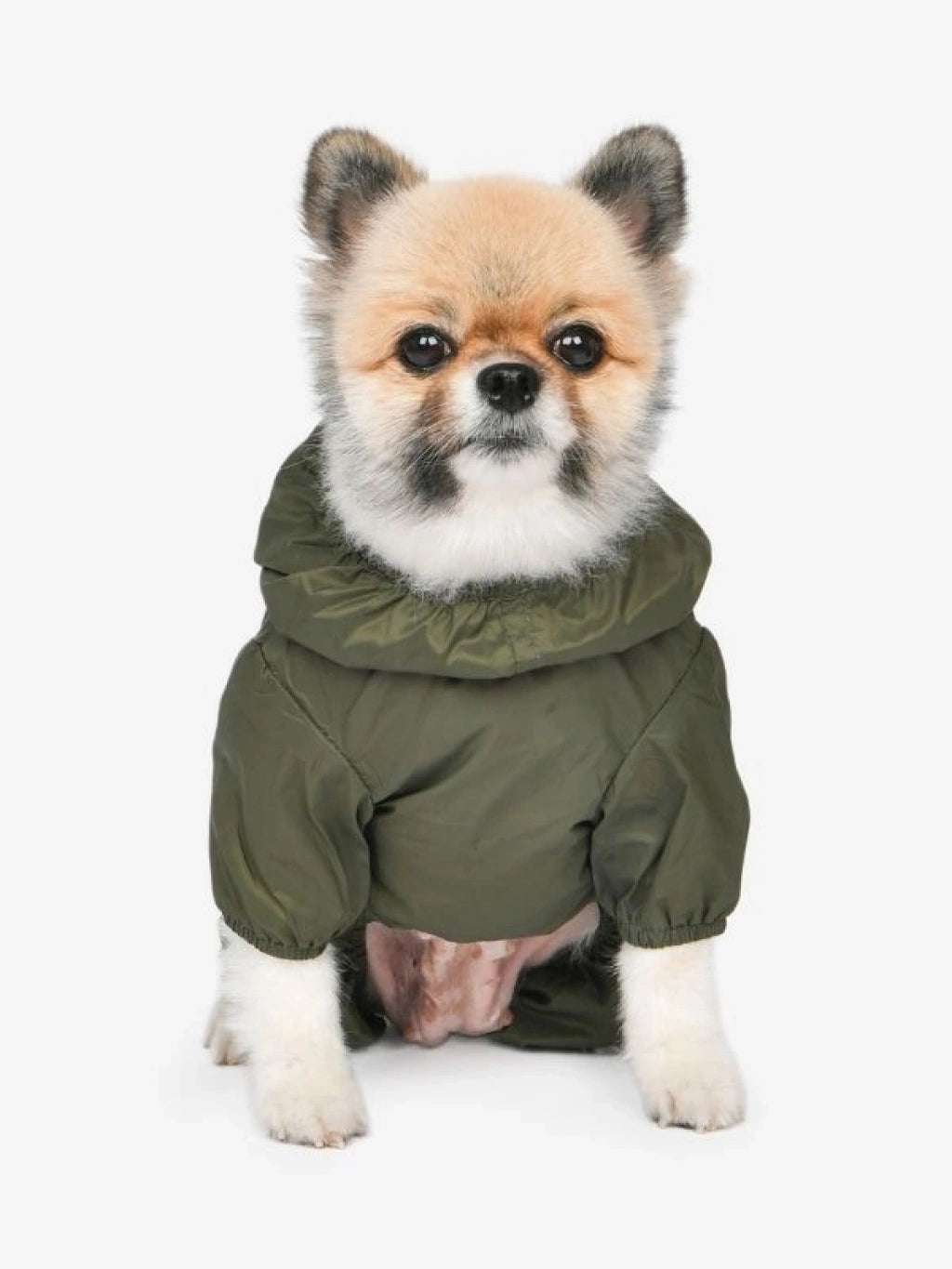 OLCHI CANDY ALL IN ONE HAKİ KÖPEK YAĞMURLUK
