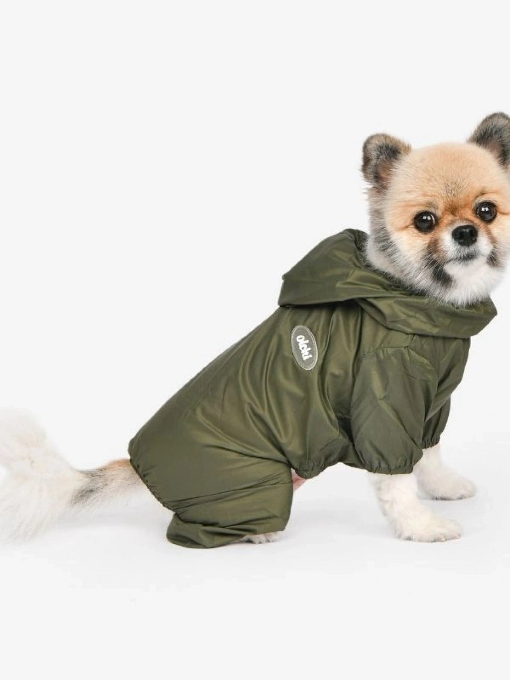 OLCHI CANDY ALL IN ONE HAKİ KÖPEK YAĞMURLUK