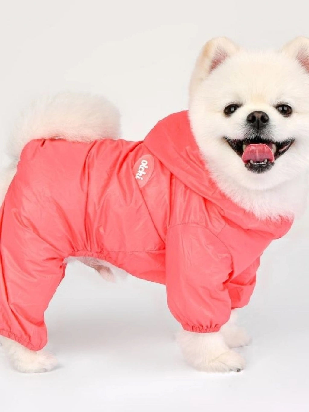 OLCHI CANDY ALL IN ONE KÖPEK YAĞMURLUK