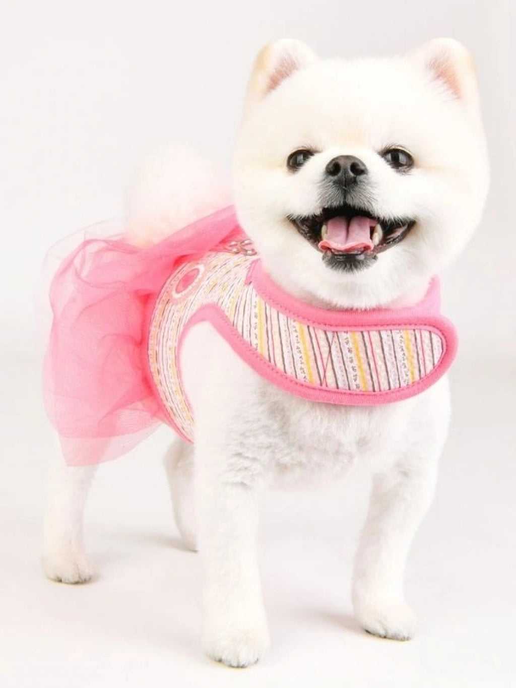 Joie Flirt Harness