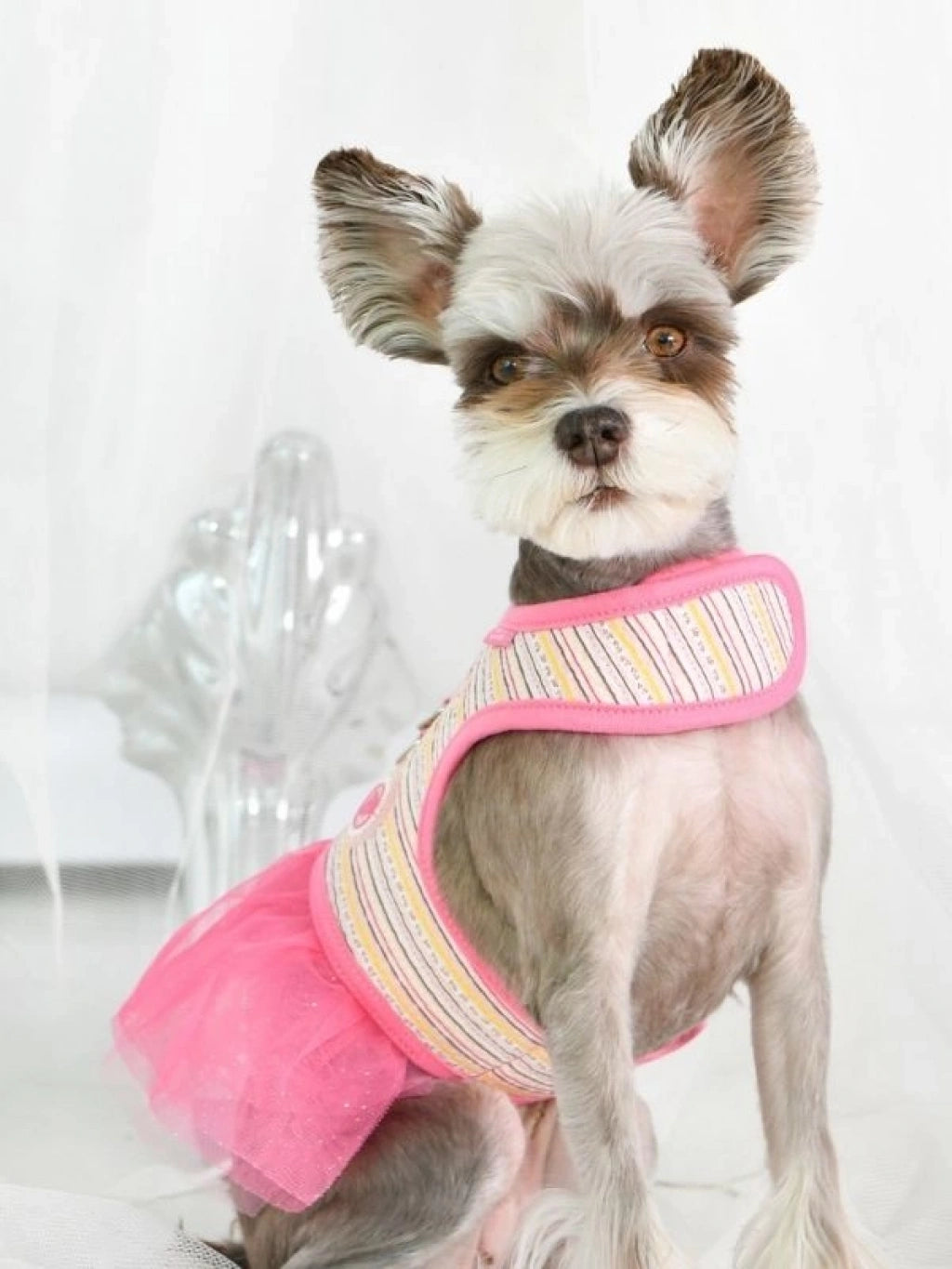 Joie Flirt Harness