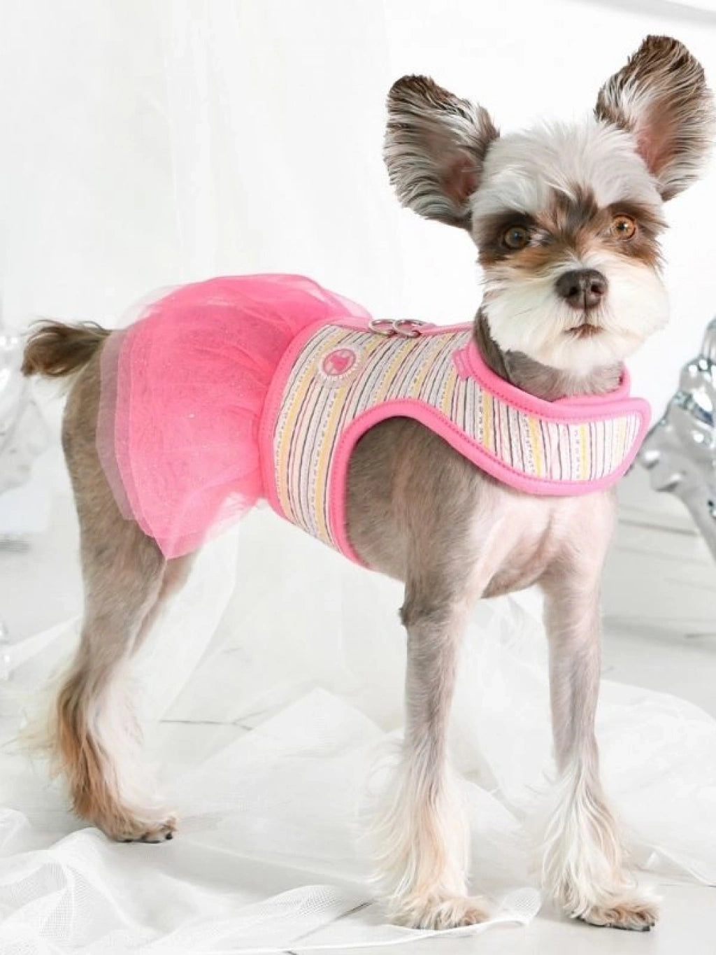 Joie Flirt Harness