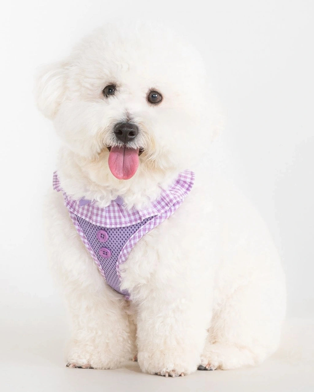 Vivien Harness A
