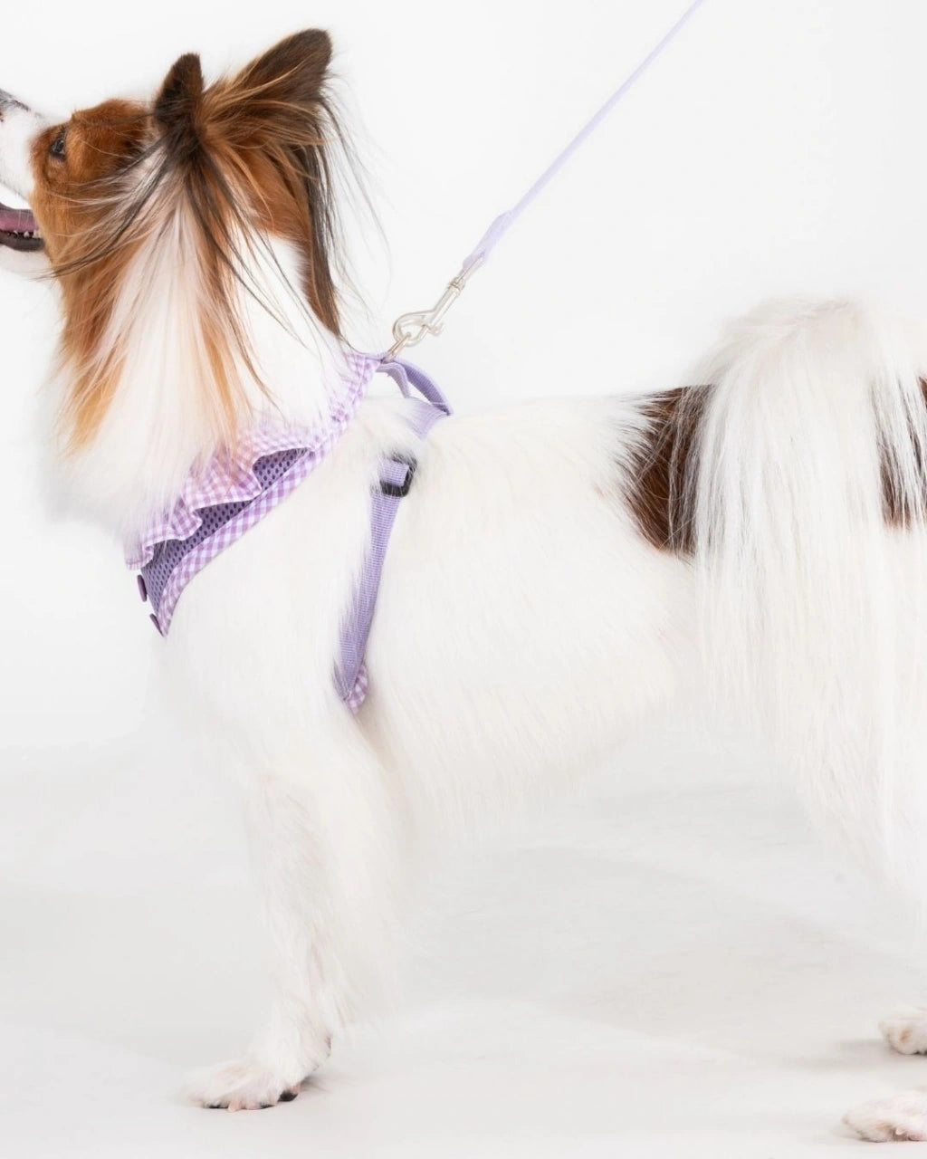 Vivien Harness A