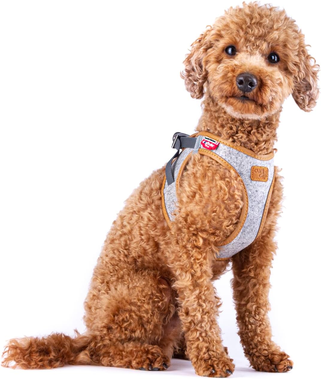 CURLI ALPINE CURLI CLASP VEST KÖPEK HARNESS LIGHT GRAY