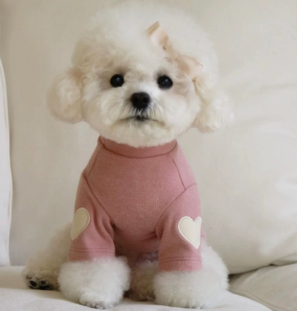 DolcePets Heart Sweater/Pink