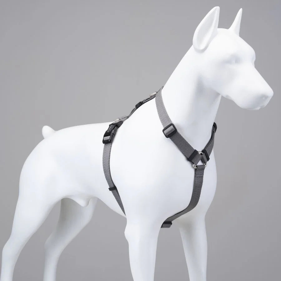 LINDO DARK STORM H TYPE CHEST COLLAR