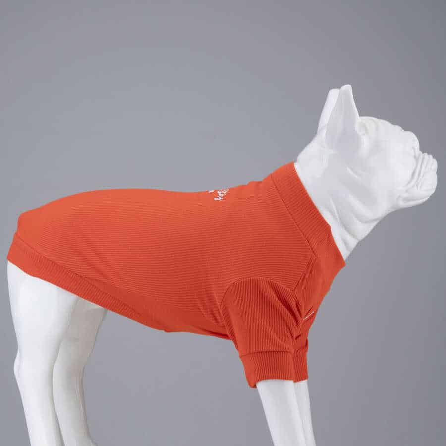 LINDODOGS ALWAYS STAY FREE KÖPEK TSHİRT
