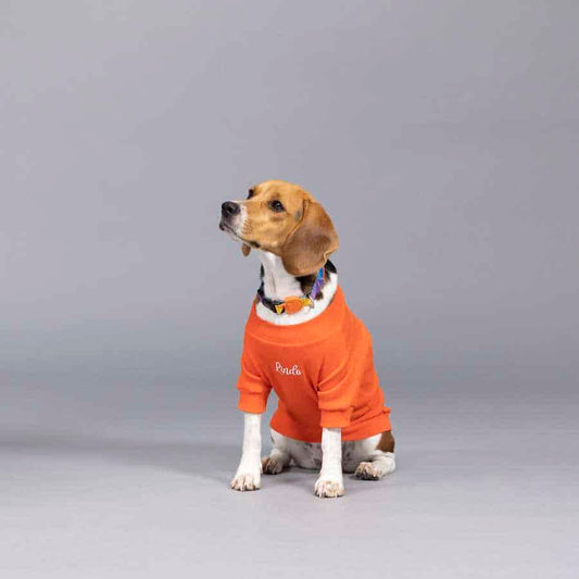 LINDODOGS ALWAYS STAY FREE KÖPEK TSHİRT