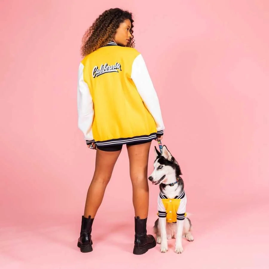 DOG COLLEGE CALIFORNIA PEOPLE