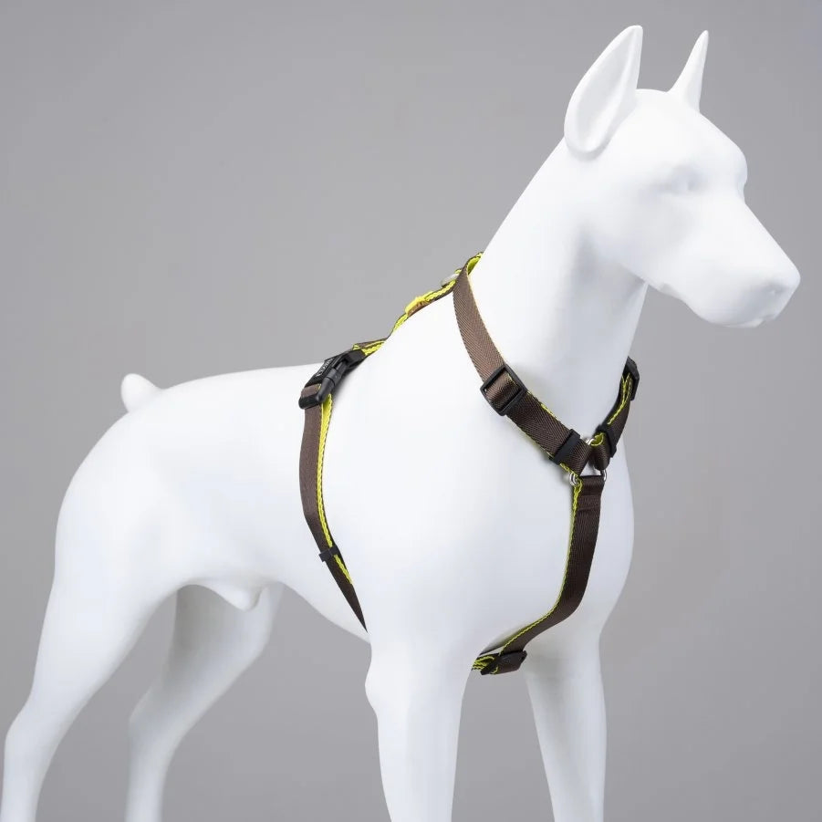 LINDO URBAN GLOW DARK COFFEE H TYPE CHEST COLLAR