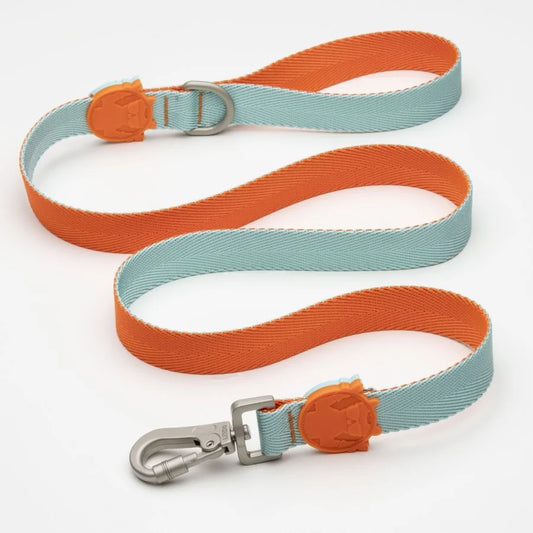 LİNDO URBAN GLOW MINT GEZDİRME TASMASI