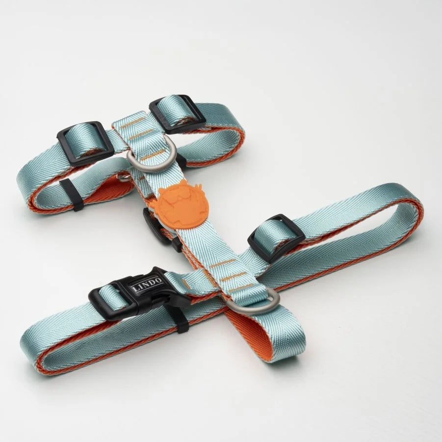 LINDO URBAN GLOW MINT H TYPE CHEST COLLAR