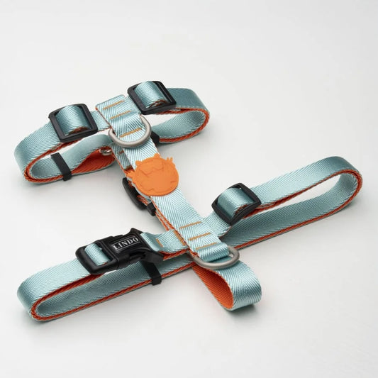 LİNDO URBAN GLOW MINT H TİPİ GÖĞÜS TASMASI