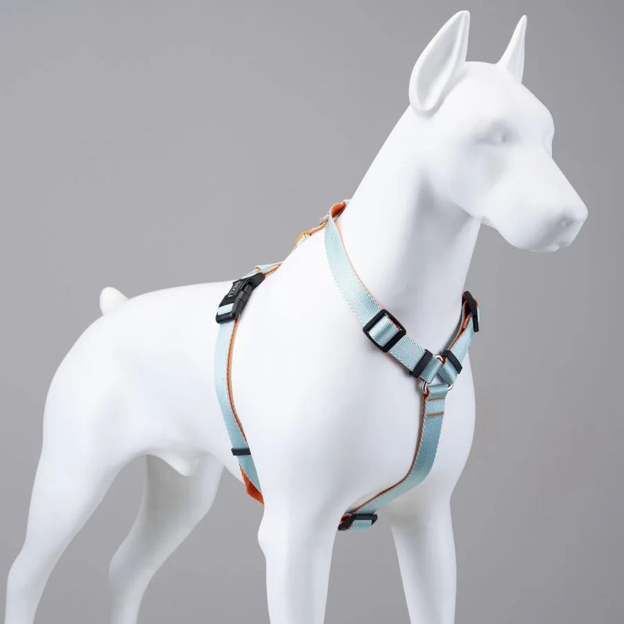 LINDO URBAN GLOW MINT H TYPE CHEST COLLAR