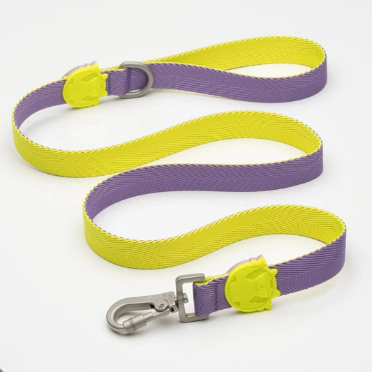 LİNDO URBAN GLOW PURPLE GEZDİRME TASMASI