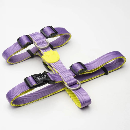 LİNDO URBAN GLOW PURPLE H TİPİ GÖĞÜS TASMASI