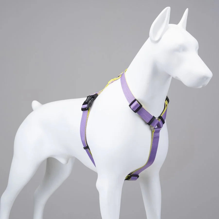LINDO URBAN GLOW PURPLE H TYPE CHEST COLLAR