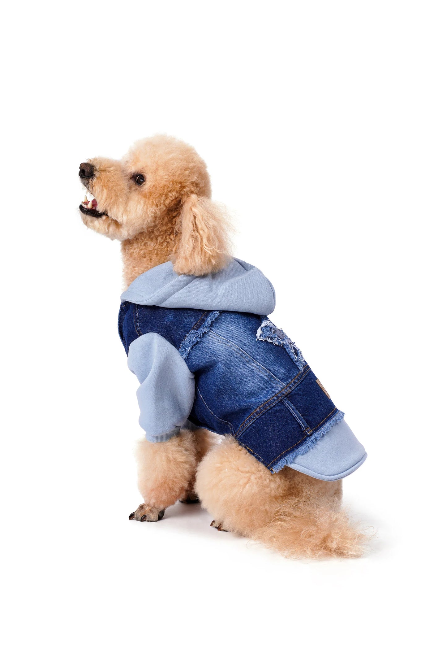 FOURAMOUR Bebek Mavisi Kapüşonlu Köpek Denim Ceketi