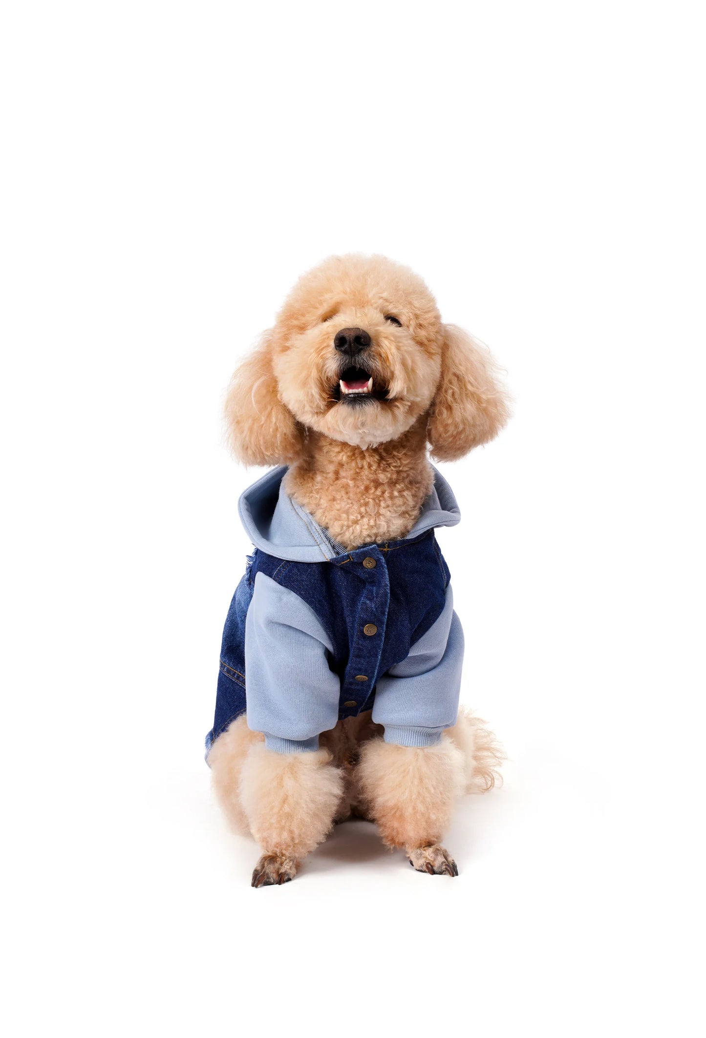 FOURAMOUR Bebek Mavisi Kapüşonlu Köpek Denim Ceketi