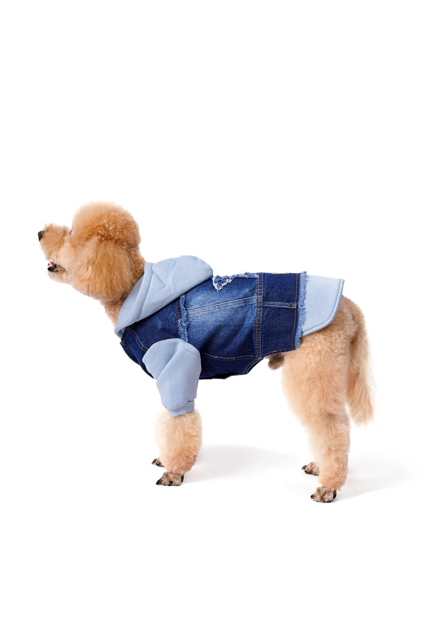 FOURAMOUR Bebek Mavisi Kapüşonlu Köpek Denim Ceketi