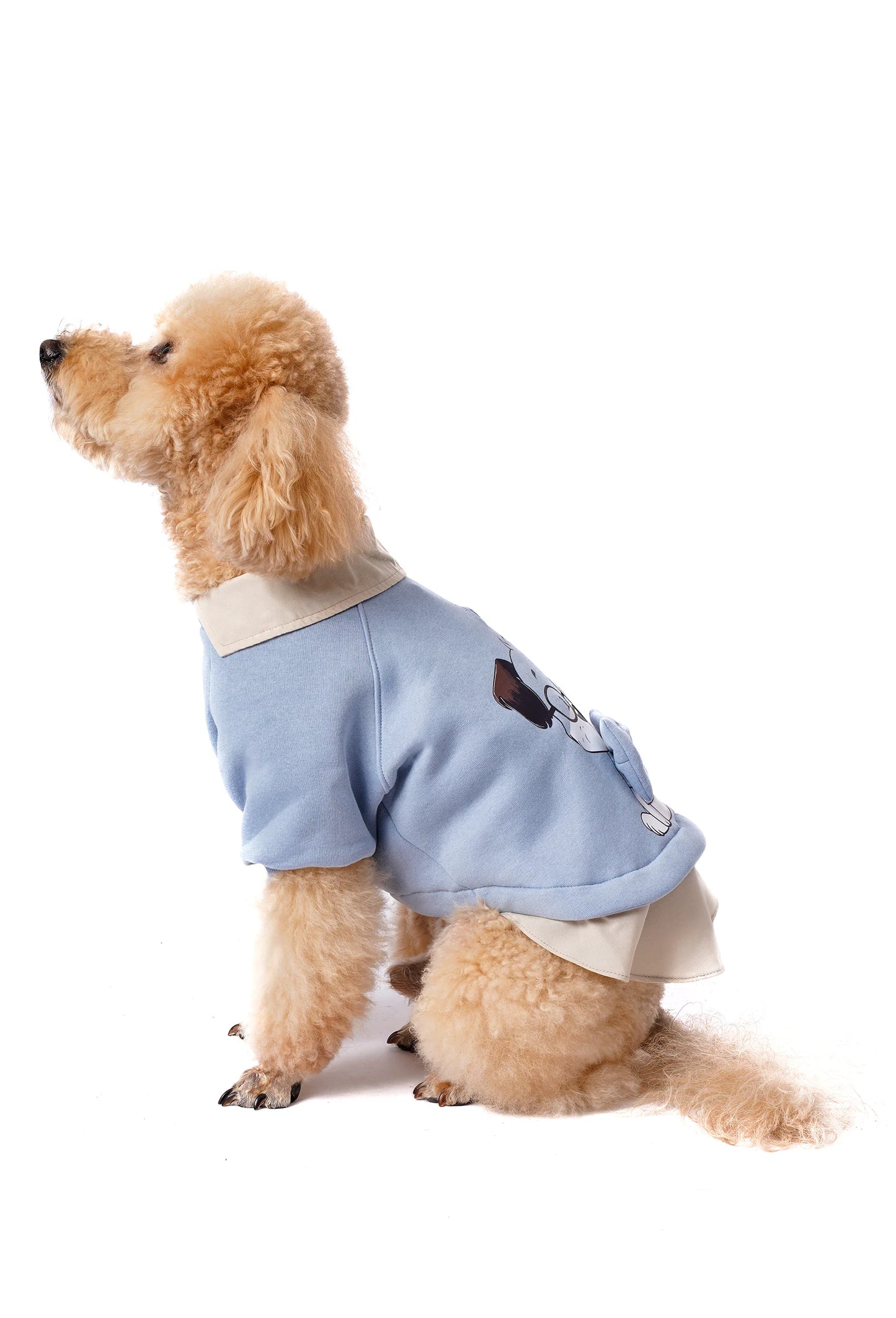 FOURAMOUR Bebek Mavisi Köpek Sweatshirtü “Prof Dog”