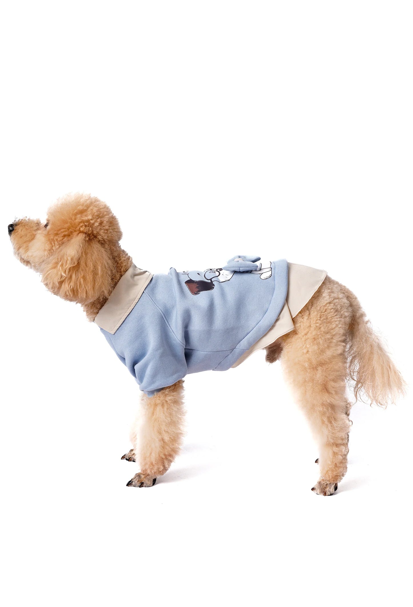 FOURAMOUR Bebek Mavisi Köpek Sweatshirtü “Prof Dog”