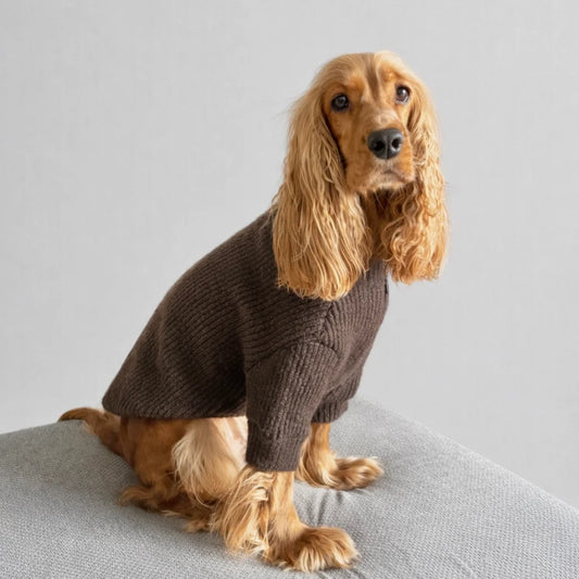 Apacco Kahverengi Fermuarlı Köpek Kazak