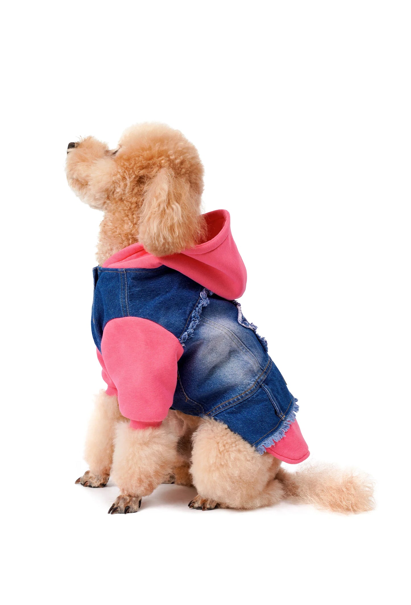 FOURAMOUR Comfy Pembe Kapüşonlu Köpek Denim Ceketi