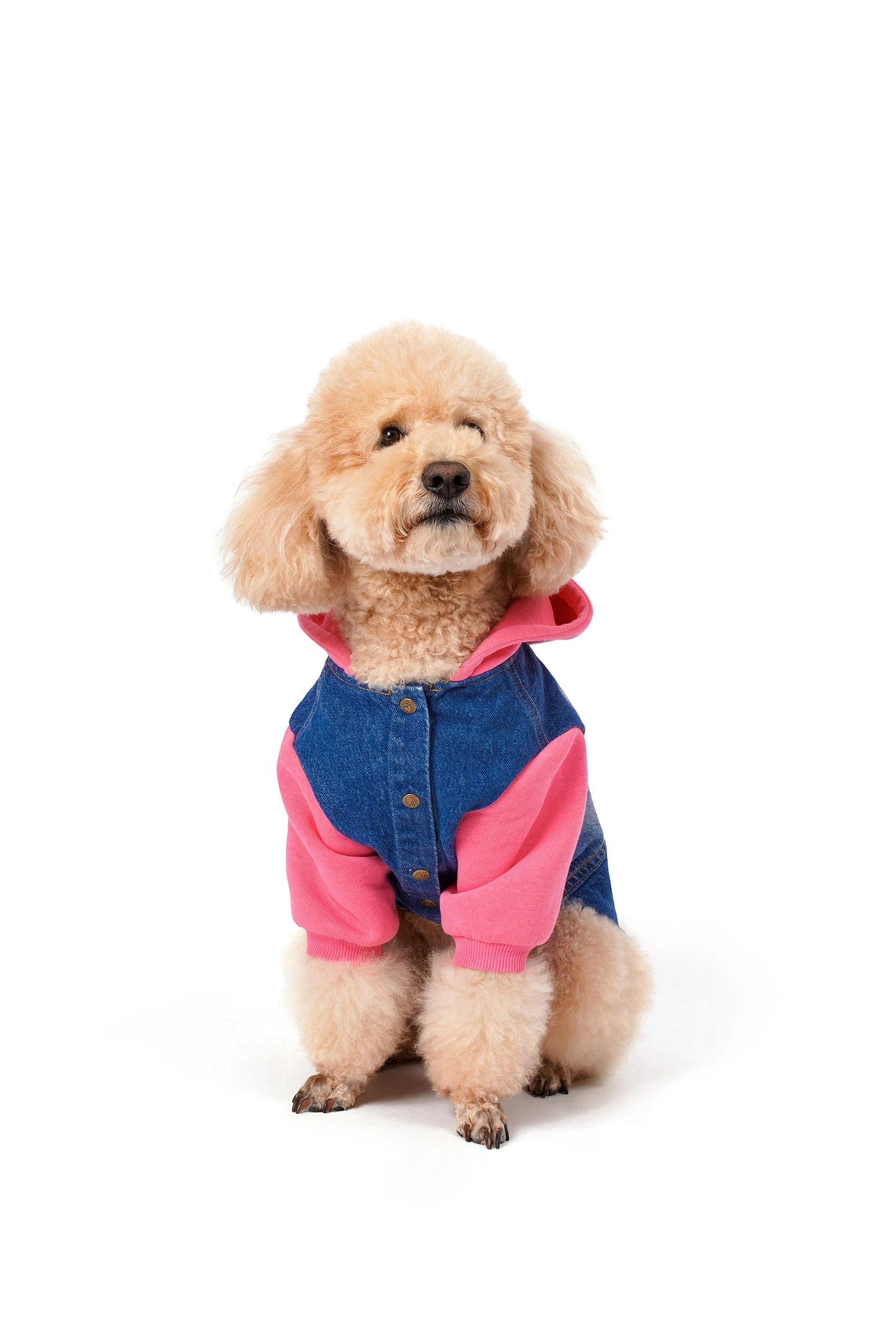 FOURAMOUR Comfy Pembe Kapüşonlu Köpek Denim Ceketi