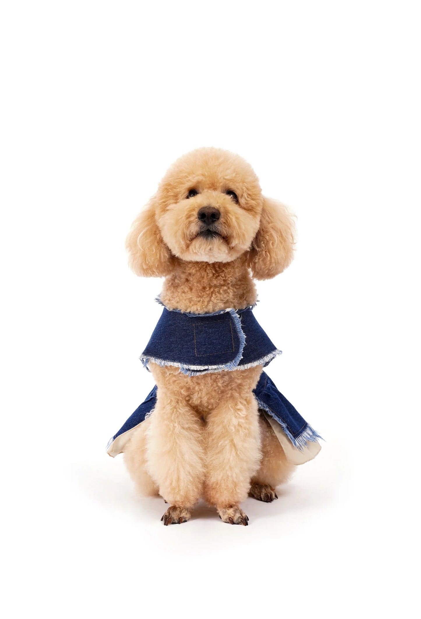 FOURAMOUR Bej Etekli Koyu Yıkama Denim Köpek Elbisesi “Kiss”