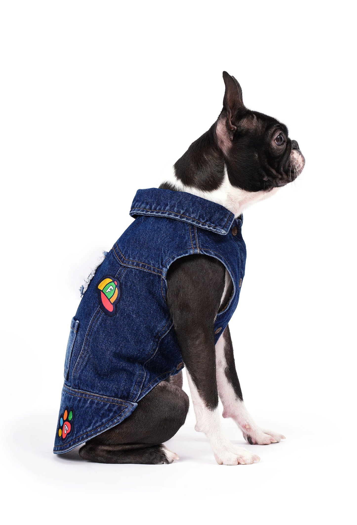 FOURAMOUR Koyu Yıkama Denim Köpek Yeleği “BadBoy”