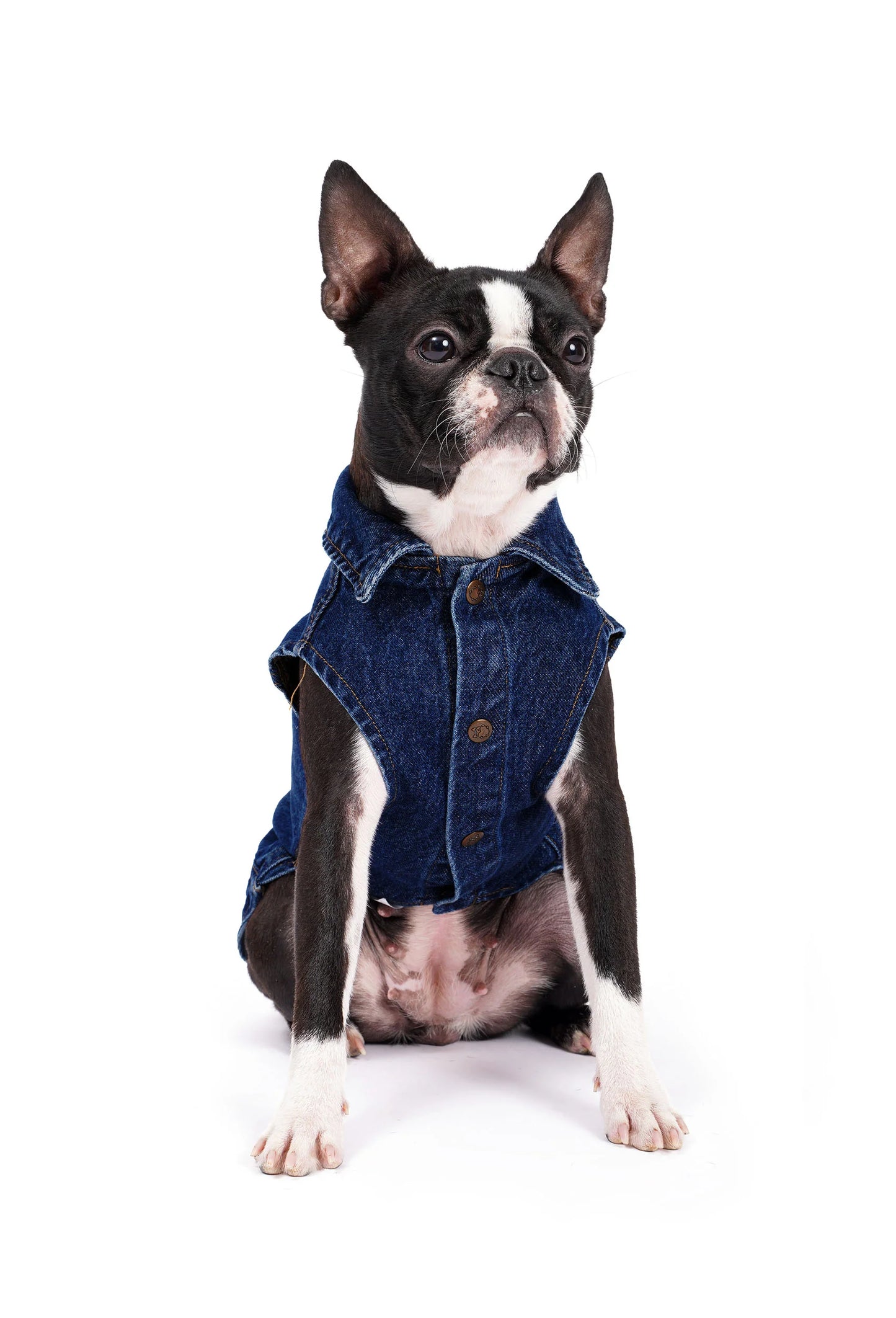 FOURAMOUR Koyu Yıkama Denim Köpek Yeleği “BadBoy”