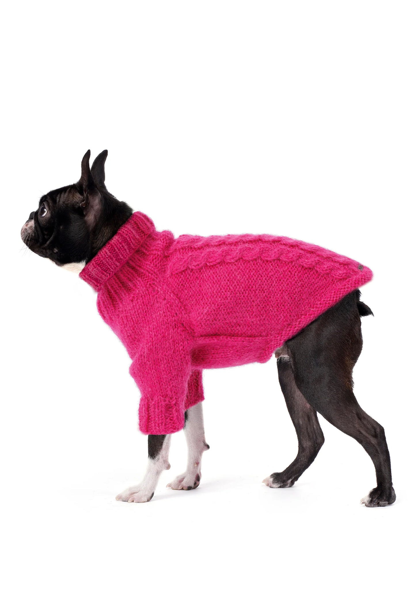 FOURAMOUR FUŞYA ÖRGÜLÜ KÖPEK KAZAK